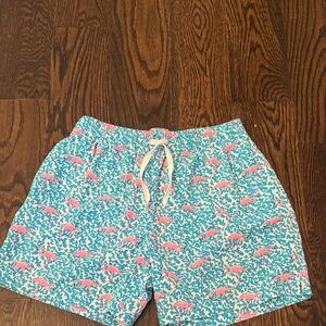 chubbies Turquoise and Pink Flamingo Swim Shorts